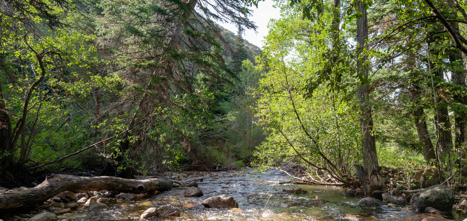 Residential Treatment For Addiction In Idaho