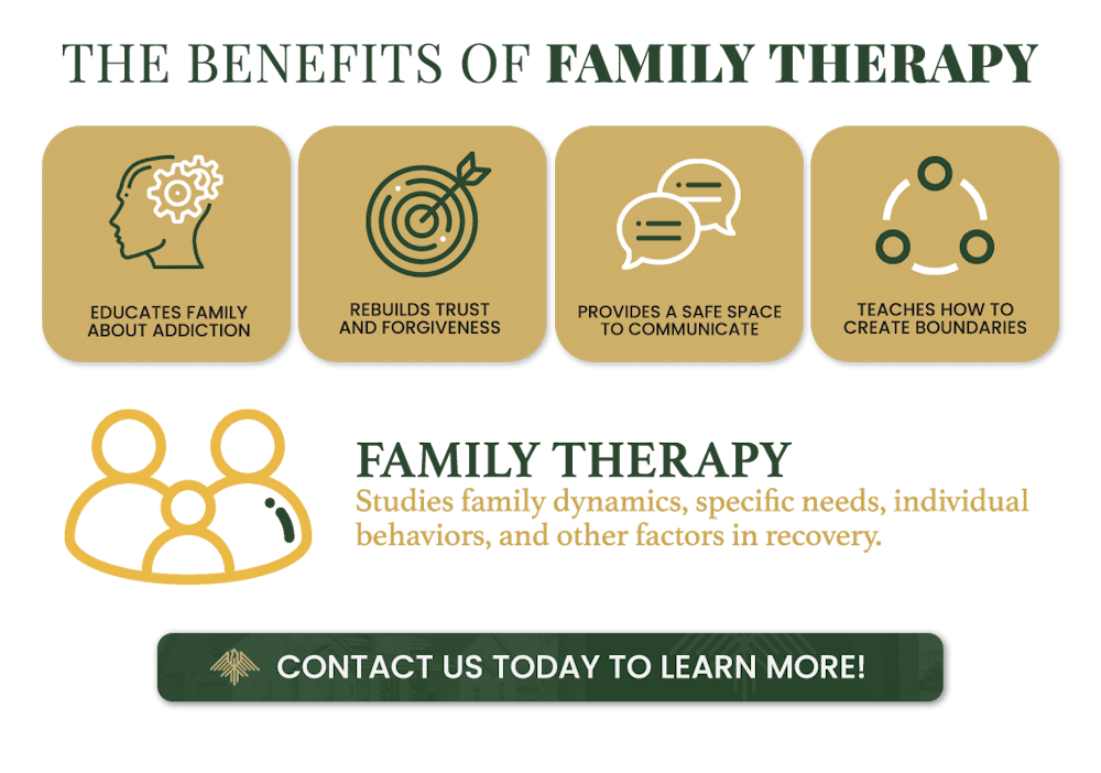family therapy for addiction